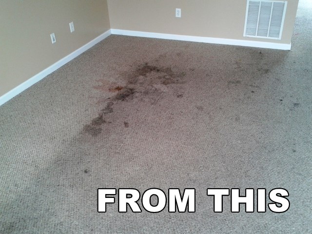 dirty family room carpet