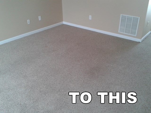 clean family room carpet